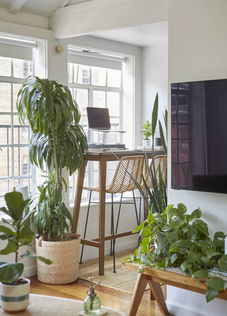 This Renter Wasn't Impressed by His NYC Loft — Until He Saw It on AT